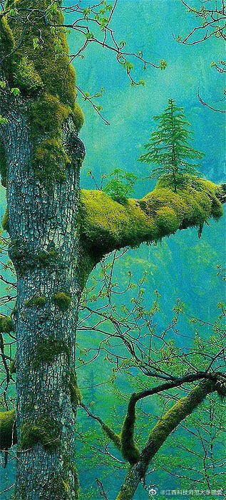 4、激光焊接設備在焊接環節中必須掌握什么關鍵點