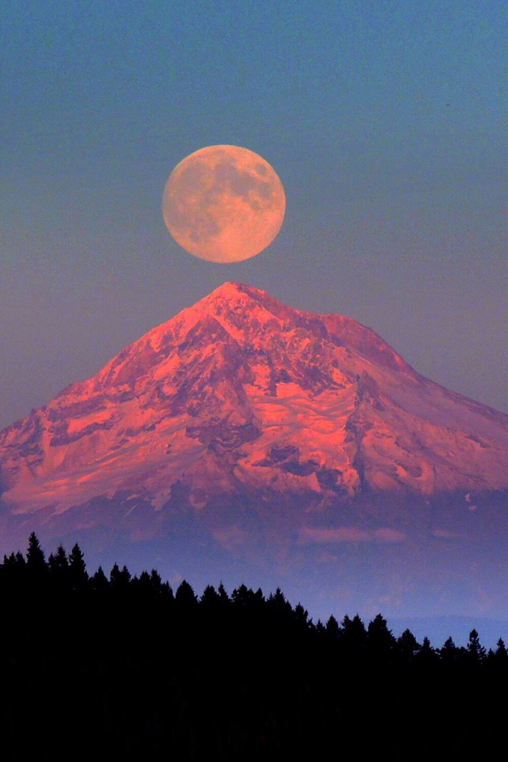 2.超聲波焊機(jī)的原理和工藝？